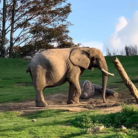 Апартаменты Domaine De Falimont A Labuissiere