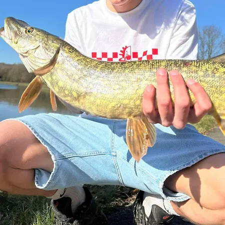 Domaine De Falimont A Labuissiere *